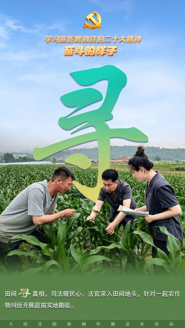 鼎金投资 田间寻真相 司法暖民心
