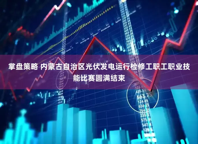 掌盘策略 内蒙古自治区光伏发电运行检修工职工职业技能比赛圆满结束
